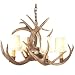 Black Forest Decor