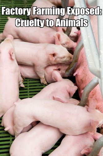 Factory Farming Exposed: Cruelty to Animals