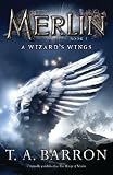 The Wizards Wings: Book 5 (Merlin)