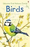 Birds (Usborne Spotter
