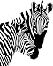 Pair of Zebra Style #1 Vinyl Wall Art Decal