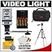 Sunpak FL-VL Combination Camera Slave Flash / Camcorder Video Light with Bracket with Batteries & Charger + Accessory Kit for Sony Handycam DCR-DVD850, DSC-SX40, DSC-SX41, DCR-SX60, HDR-CX100, HDR-TG5V, HDR-CX500, HDR-CX520, HDR-XR100, HDR-XR200, HDR-XR500, HDR-XR520, DCR-SR68, DCR-SR88, DCR-SX44, DCR-SX63, DCR-SX83, HDR-CX110, HDR-CX150, HDR-CX300, HDR-CX350, HDR-CX550, HDR-XR150, HDR-XR350 & HDR-XR550