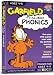 Garfield Found 4-5 years: Phonics (PC)