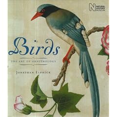 Birds: The Art of Ornithology (Mini Titles)