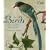 Birds: The Art of Ornithology (Mini Titles)