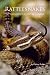 Rattlesnakes of the United States and Canada