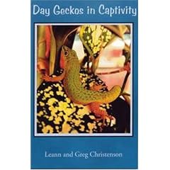 Day Geckos in Captivity