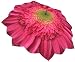 Fine Art Rain or Sun Umbrella--Automatic Compact Folding Pink Gerbera Daisy Flower Umbrella