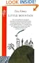The Little Mountain