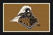 Purdue Boilermakers 3' 10" x 5' 4" Team Spirit Area Rug