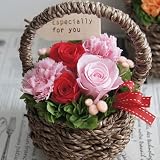 �v���U�[�u�h�t�����[�@�t���[���i�s���N�j