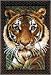 Latch Hook Kit 27X40-Tiger