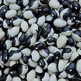 Black Calypso Beans - 1 Lb Bag Also known as Orca Beans