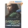 Saltwater Witch: Book #1 of the Seaborn Trilogy