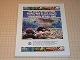 The State of Coral Reef Ecosystems of the United States and Pacific Freely Associated States by Turgeon, D D et al