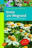 Ernte am Wegrand: Wildkr&auml;uter, Fr&uuml;chte und Beeren - Mit 85 Rezepten - Christine Recht, Max-Felix Wetterwald