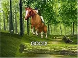 Horse Life