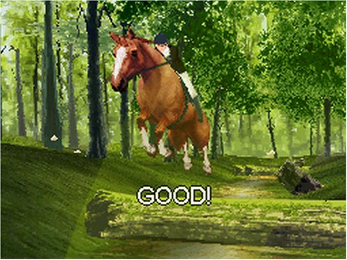 Horse Life image