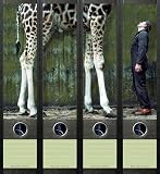 Produkt-Bild: File Art - Design Etiketten - Motiv Giraffe - breit