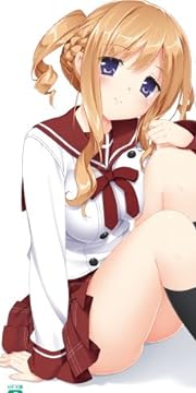 この部室は帰宅しない部が占拠しました。 3 (MF文庫J)