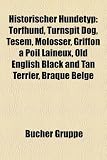 Historischer Hundetyp: Torfhund, Turnspit Dog, Tesem, Molosser, Griffon a Poil Laineux, Old English Black and Tan Terrier, Braque Belge