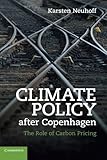 Climate policy after Copenhagen : the role of carbon pricing