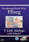Gwyddoniaeth ddwbl TGAU : ffiseg. Y llyfr adolygu. Lefel sylfaenol