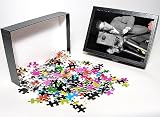 Photo Jigsaw Puzzle of MOVIE CAMERA, 1920s. The actor Nick Stuart in a publicity still from the 1920s from Granger Art on Demand