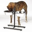 Proselect Adj Black Diner 5 Quart with Bowls