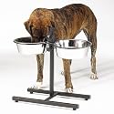 Proselect Adj Black Diner 3 Quart with Bowls