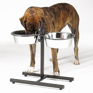 Proselect Adj Black Diner 3 Quart with Bowls