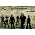 Miniaturansicht von Dark Tranquillity