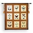 Butterflies Tapestry Wallhanging Comes With Wall Hanging Rod and Tassels