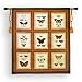 Butterflies Tapestry Wallhanging Comes With Wall Hanging Rod and Tassels