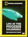 National Geographic DVD - Life In The Frozen Wilderness - Artic Kingdom: Life At The Edge - NEW BUT NOT SEALED - VERY INTERESTING DVD AND COLLECTABLE