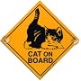 Auto-Schild