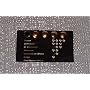 Star Trek Next Generation Official Gold Rank Pip SET