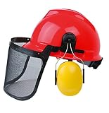 Mannesmann 40015 Forstschutzhelm
