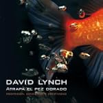 Atrapa el pez dorado (Reservoir Books)