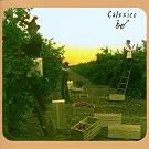 Calexico