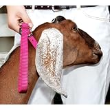 Weaver Leather GOAT LEAD, 8 LOOP, HURR BLUE