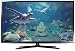 51wsyEpnFAL. SL75 schnäppchen led fernseher kompaktkamera handytarif E Drum DJ Mischpult amazon blitzangebote 51wsyEpnFAL. SL75 schnäppchen led fernseher kompaktkamera handytarif E Drum DJ Mischpult amazon blitzangebote