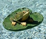 Water Pond Decor