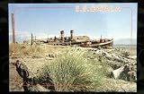 S S Catala Ocean Shores Washington Shipwrecked tourist attraction Postcard c1990 [blank]