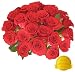 Flowers for Delivery - 25 Red, Incredibly Fragrant Roses. As Seen on WSVN Channel 7 News, Top Rated Roses on Amazon. 2 Dozen Long Stem Roses From Spri...