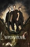 Supernatural Poster TV P (11 x 17 Inches - 28cm x 44cm ) Jared Padalecki Jensen Ackles Amber Borycki Jim Beaver Misha Collins