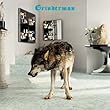 cover of Grinderman - Grinderman 2