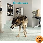 This item last updated: Nov 08, 2010