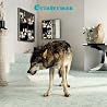 Image of album by Grinderman