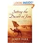 Setting the Desert on Fire: T. E. Lawrence and Britain's Secret War in Arabia, 1916-1918